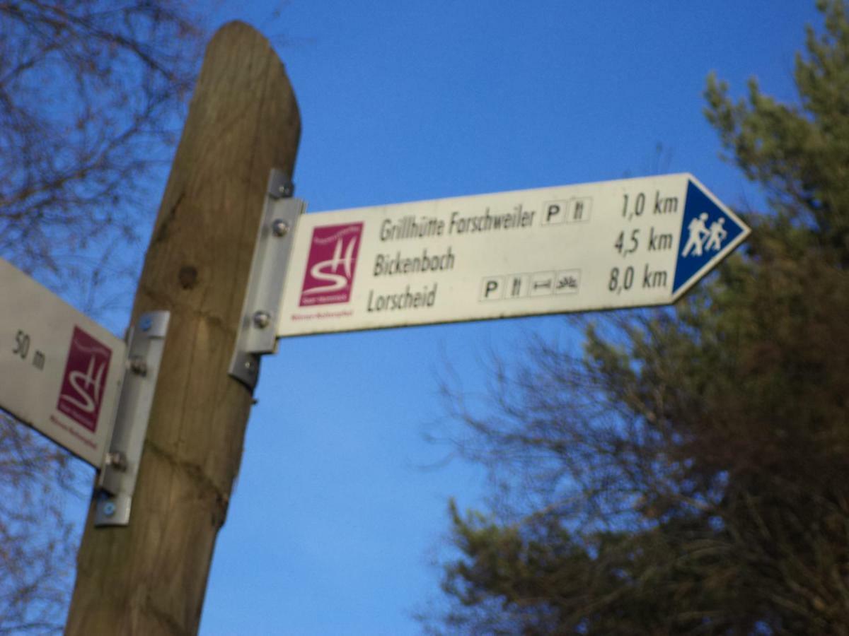 Ferienappartment Mit Schlafzimmer Farschweiler Zewnętrze zdjęcie